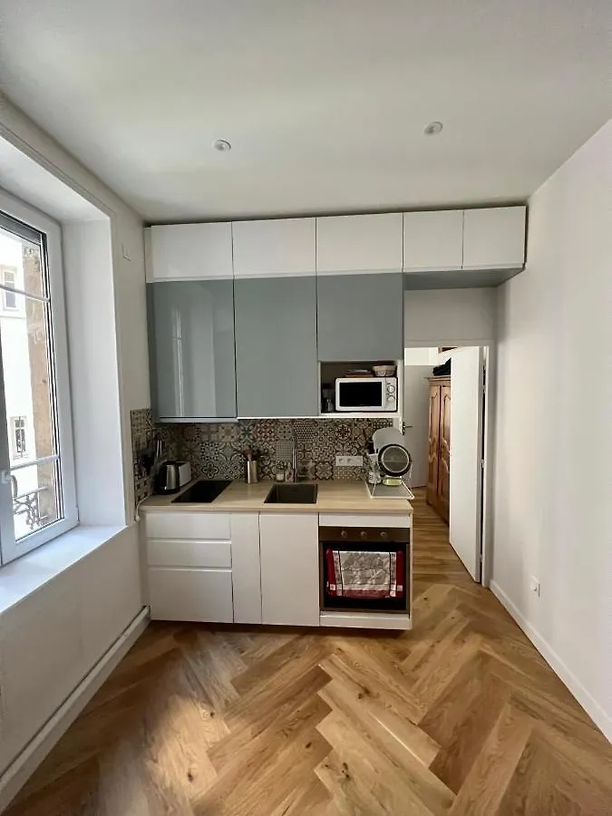 Apartment Nid De Calme Centrale Climatise Lyon France